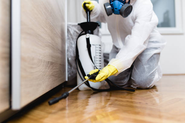 Best Residential Pest Control  in Cotati, CA