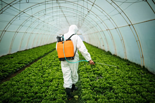 Best Ant Control Services  in Cotati, CA