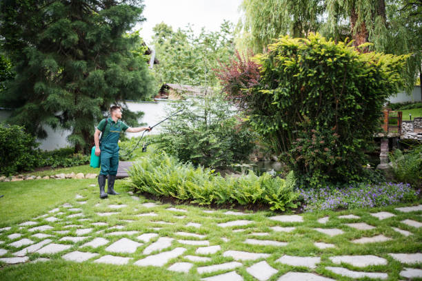 Cotati, CA Pest Control Company