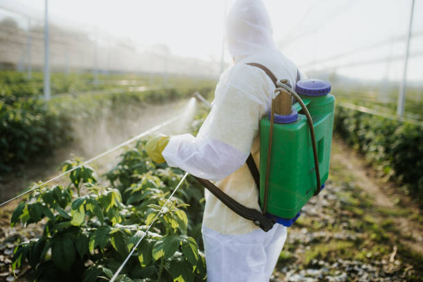 Pest Control Cost in Cotati, CA